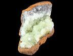 Gemmy, Yellow-Green Adamite Crystals - Durango, Mexico #65316-1